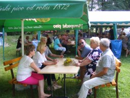 XII Piknik Samorządowy w Podzamku 15 sierpnia 2017r.